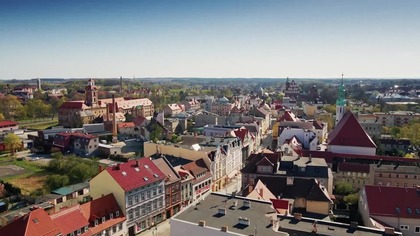 PZHGP 0370 Żary - Dr Schwidde - Krasowski gołębie z linii DV-1083 Mały Ciemny - Wspaniała hodowla!!