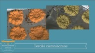 TORCIKI ZIEMNIACZANE, czyli ziemniaki księżnej