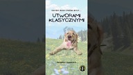 Gdyby PIESKI były UTWORAMI KLASYCZNYMI 