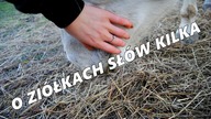 Ziołolecznictwo cz. 1