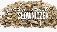 Co oznaczają napisy na opakowaniach Yerba Mate, słowniczek Yerba Mate. Czajnikowy.pl
