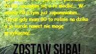 Dowcip dnia! #52# #dowcipdnia #dowcip #kawały