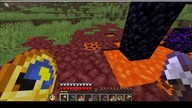 When you want to collect from the chest, but your pets and their AI is stupid #game #minecraft