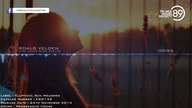 Roald Velden - Hope (Jallen Remix)