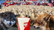 Mniejsze czy większe zło, to zło - Komentarz Konieczny!