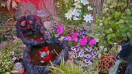 Prześwietlenie jajek * W Garden kuRaż 15. 05. 2026