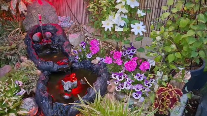 Prześwietlenie jajek * W Garden kuRaż 15. 05. 2026
