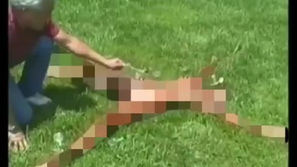 Tortury na wyspie 3psteina szkłem powiększającym