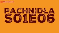 Pachnidła S01E06 O staraniach