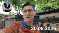 Papugarnia się robi * 28 kurczaków i karmienie świergotki * W Garden kuRaż 30. 05. 2026