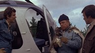 Grizzly. 1976. Lektor.pl