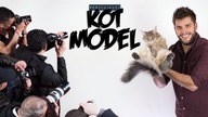 KOCI MODEL | Poszukiwacz #367