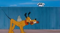 Pluto - Pluto idzie na zakupy