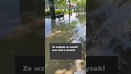 Powódź w Niemczech