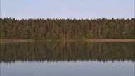 Mazury !!! #prostytutki # lasek buloński # dziadek # wnuczek