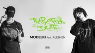 YOUNG MULTI & FAST LIFE SHARKY ft.  Aleshen - MODELKI