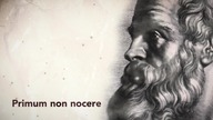 Hubert Czerniak - NIACYNA cz.  2 z 4 / Działanie / Nie uwierzycie, jak wielki wpływ ma na ORGANIZM!