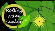 Rządzą wami nieodpowiednie rośliny!