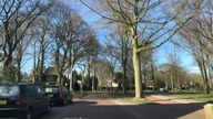 Wiosna w Niderlandach, kolejny dzień korony