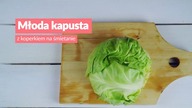 MŁODA KAPUSTA z koperkiem na śmietanie