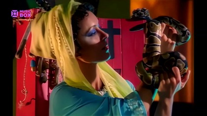 Afro Medusa - Pasilda