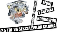 Amatorska Sekcja Silnika VW v6 2. 5 TDI