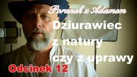 Poranek z Adamem [12] Zebrany Dziurawiec czyni cuda.