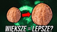 Dlaczego Powiększanie Jąder MA SENS