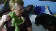 Rottweiler nie chce oddać swojej zabawki