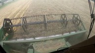 Pierwszy wjazd w pszeniczkę Bożą - plony od 1,3 do 11t/ha