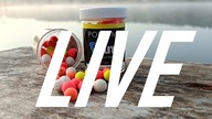GDZIE NA RYBKI ? - LIVE