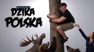 W POLSCE JAK W LESIE | Poszukiwacz 565