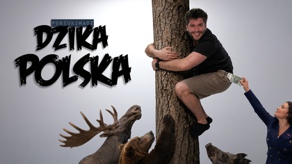 W POLSCE JAK W LESIE | Poszukiwacz 565