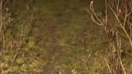 Wszedłem tam nocą Kamera nagrała coś NIEPOKOJĄCEGO