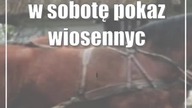 w sobotę pokaz wiosennych prac polowych w Skansenie