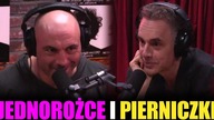 Indoktrynacja i obrońcy uciśnionych - ROGAN & PETERSON #20