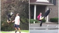 Scary Flying Drone Prank Compilation