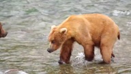 Alaska - Nieznane wody