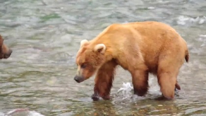 Alaska - Nieznane wody