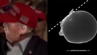 Obr&oacute;t głowy Trumpa w momencie strzału uratował mu życie