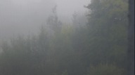 Widok z okna / View from the window