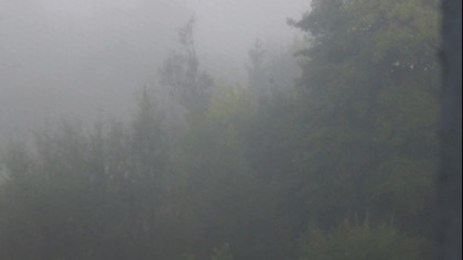 Widok z okna / View from the window