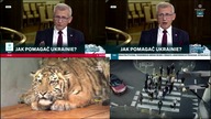 POLSAT + POLSATNEWS + POLSATNEWSPOLITYKA - 31-10-2024 - Porównanie kanałów