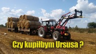 URSUS tani i Polski wół roboczy/ Kula