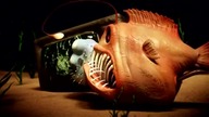 MTV90S - 160-7-2022 - Ident
