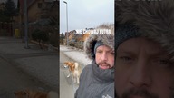 Nie chowaj futra!