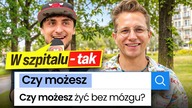 NAJGŁUPSZE pytania z GOOGLE