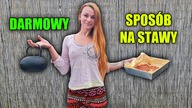 DZIKA RÓŻA - sposób na odporność i ból stawów