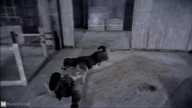 Dead to Rights Retribution Launch Trailer