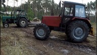 Zrywka na dwa traktory || BELARUS i URSUS C360
